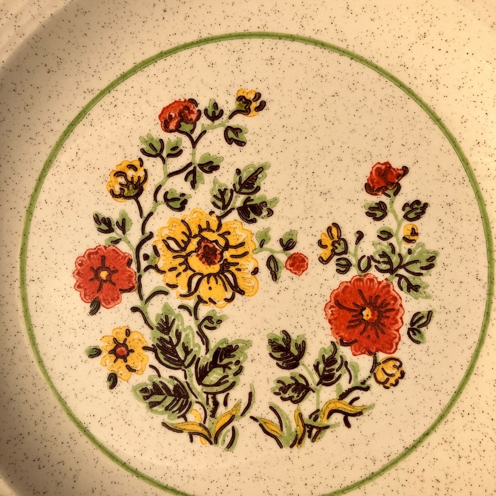 Authentic “Homer Laughlin” 1978 Speckled Stonewear Dish Set (47-piece)